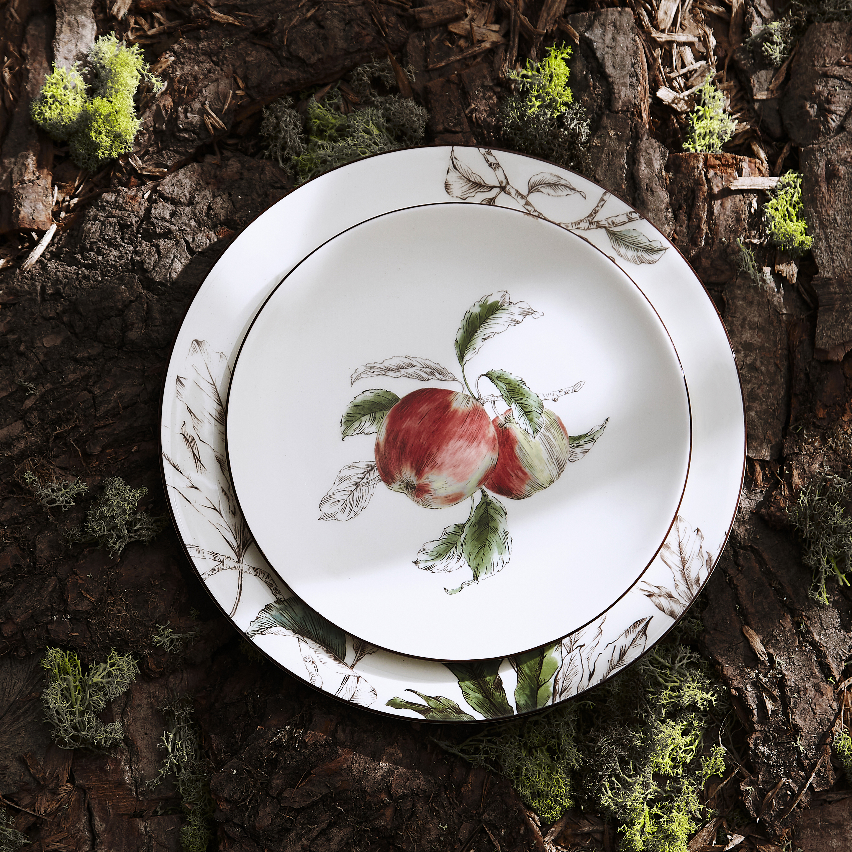 Nature's Bounty 9.5 Inch Salad Plate, Apple image number null